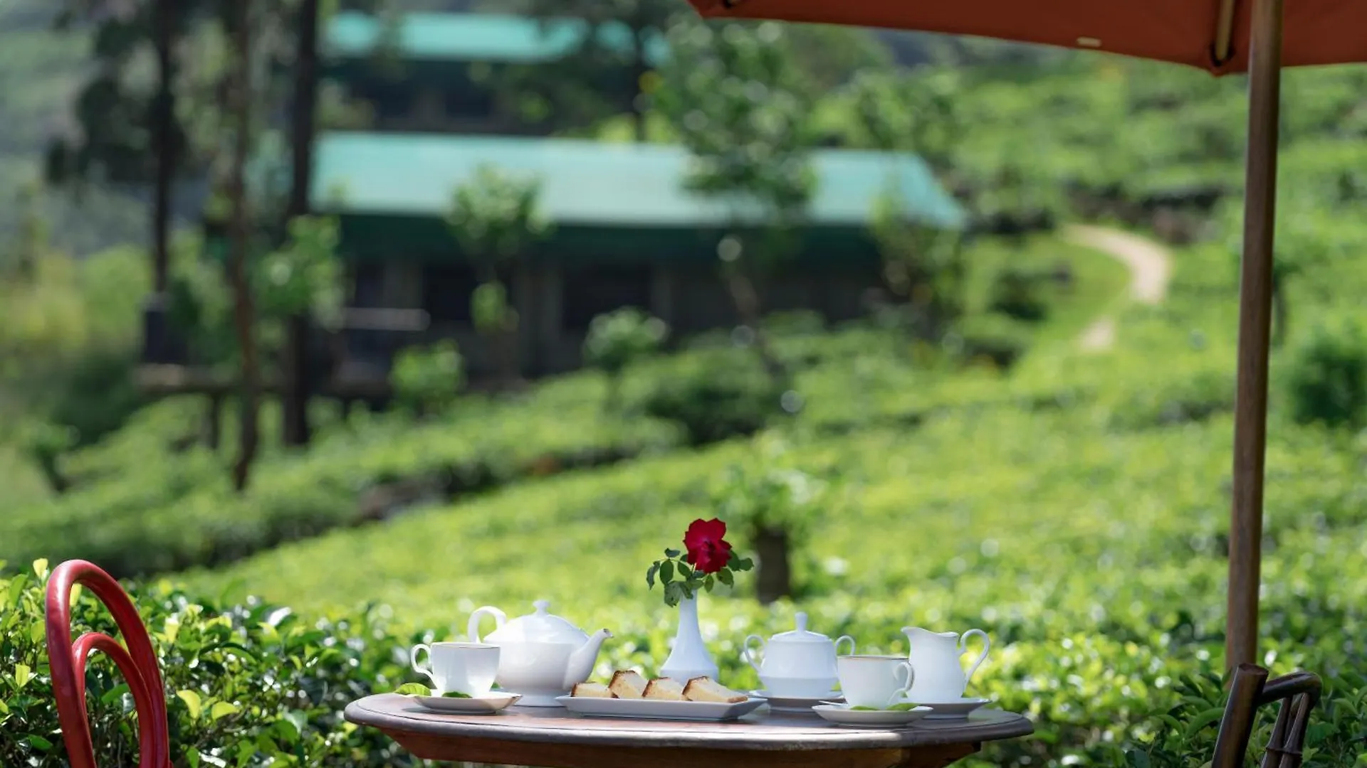 ***** Курортный комплекс Madulkelle Tea And Eco Lodge Madulkele Шри-Ланка