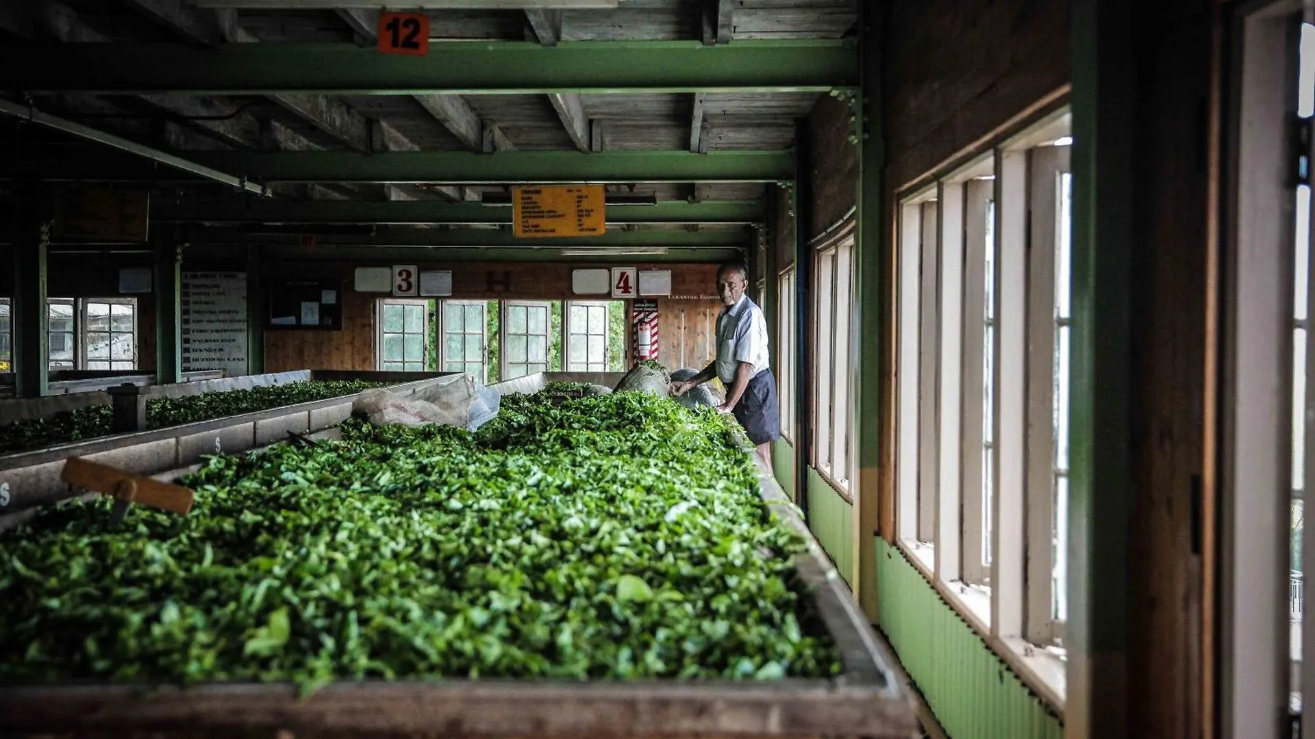 Курортный комплекс Madulkelle Tea And Eco Lodge Madulkele