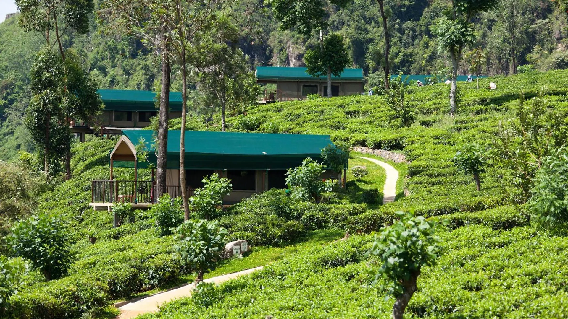 ***** Курортный комплекс Madulkelle Tea And Eco Lodge Madulkele Шри-Ланка