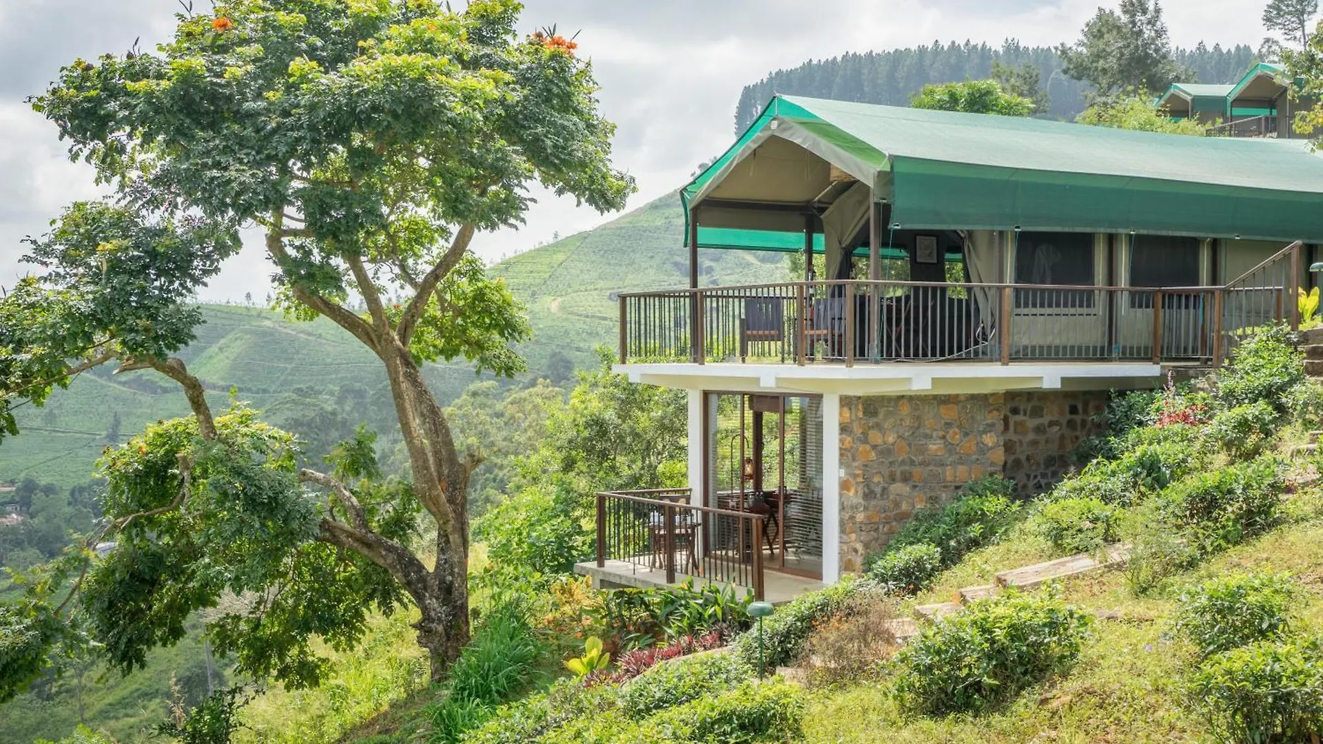 Resort Madulkelle Tea And Eco Lodge Kandy