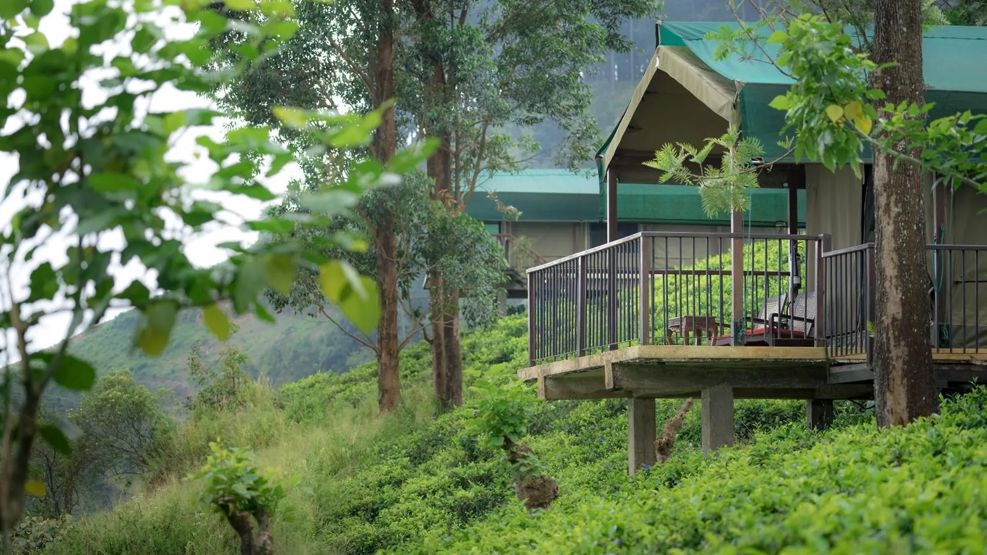 Resort Madulkelle Tea And Eco Lodge Kandy