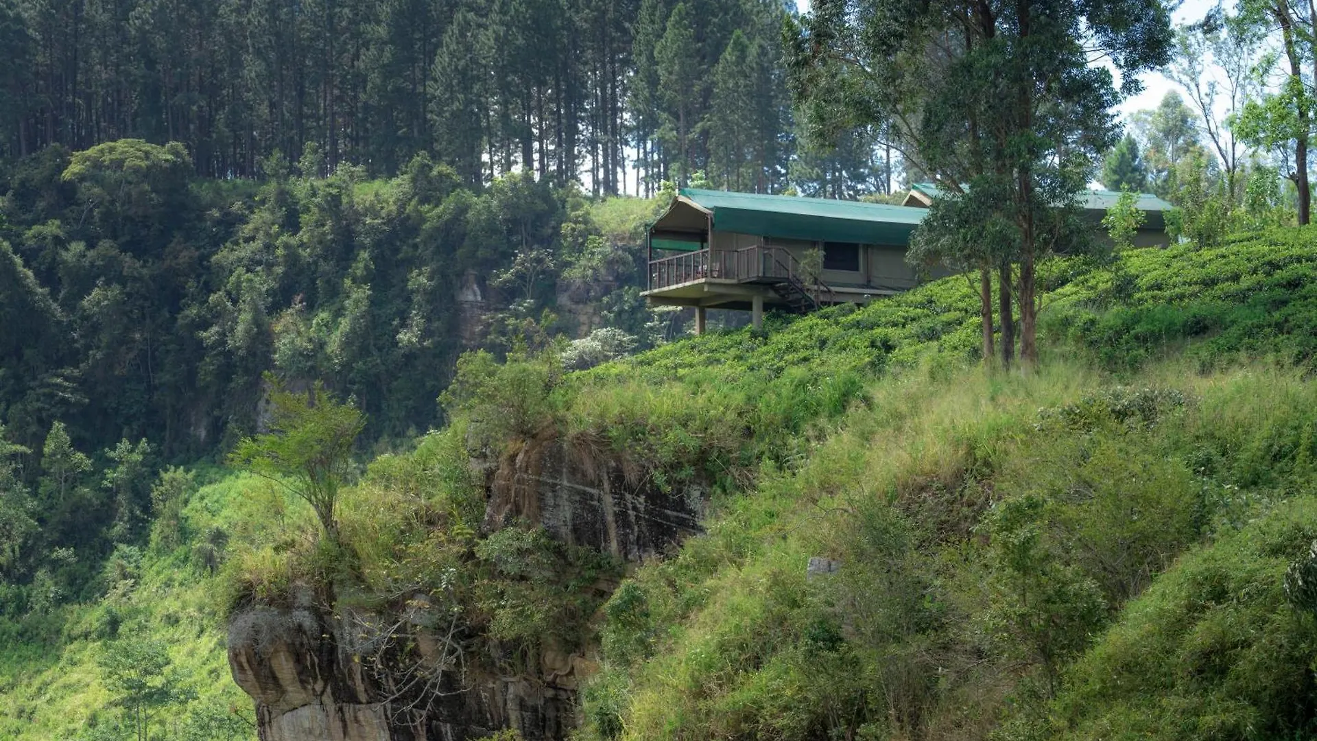 Madulkelle Tea And Eco Lodge Kandy 5*,