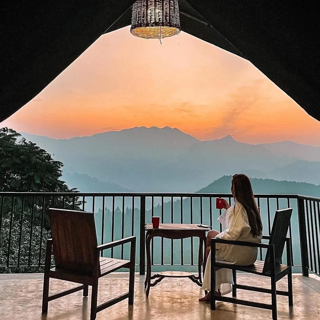 Madulkelle Tea And Eco Lodge Kandy 5*,