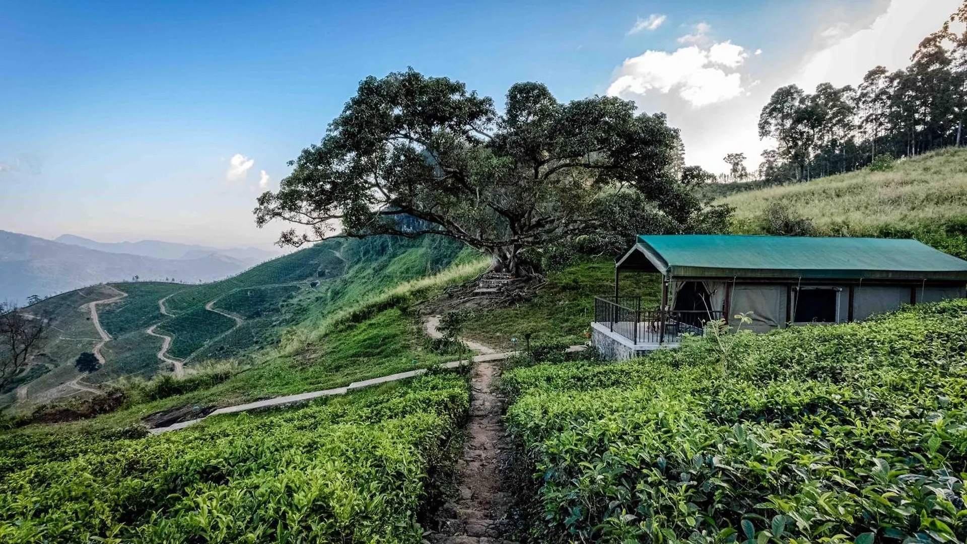 Resort Madulkelle Tea And Eco Lodge Kandy