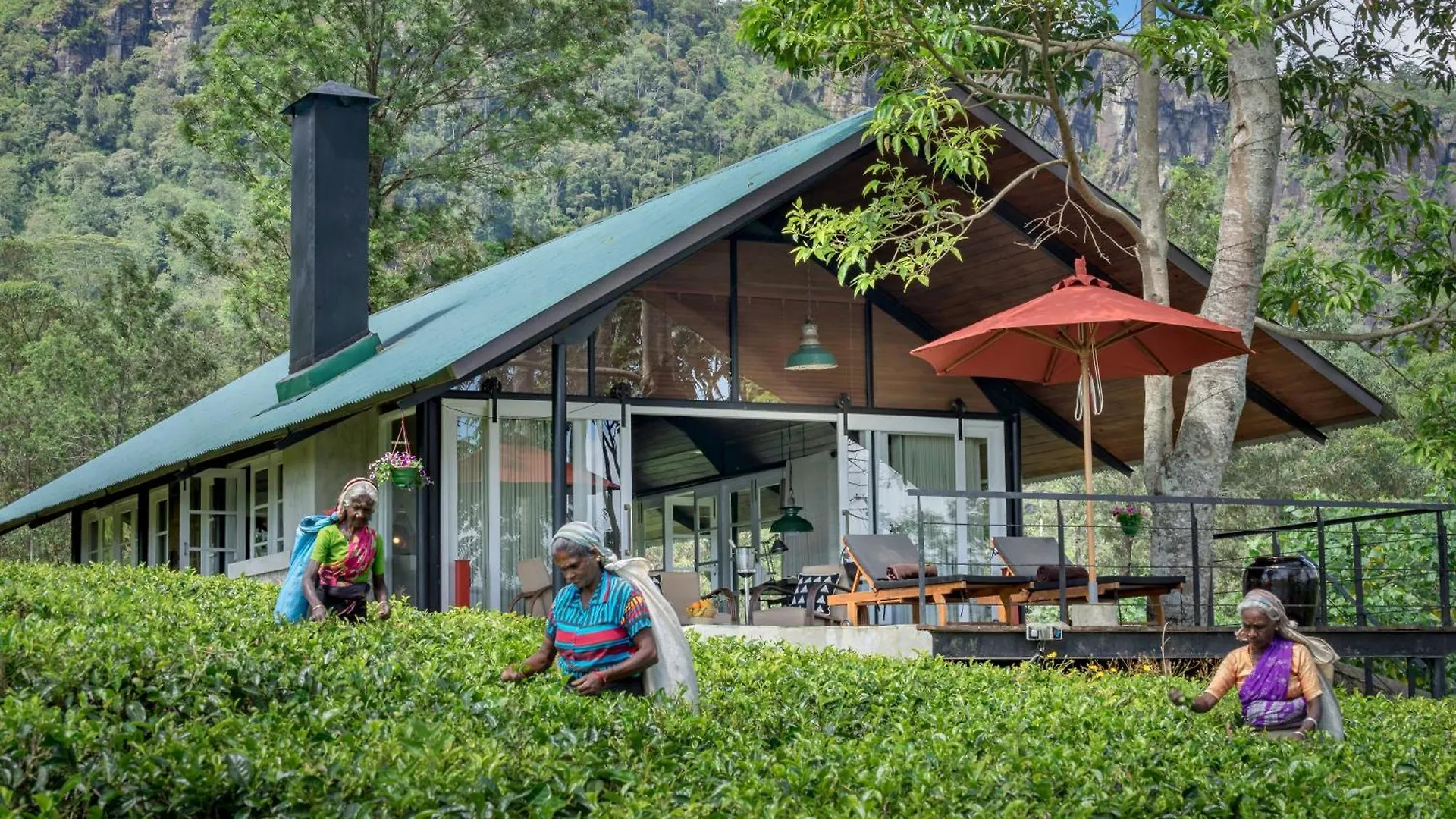 Madulkelle Tea And Eco Lodge Kandy 5*,  Sri Lanka